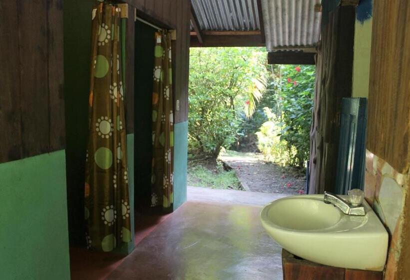 اتاق استاندارد چهار تخته, Mohagine