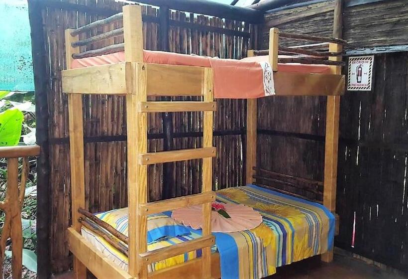 اتاق استاندارد چهار تخته, Mohagine