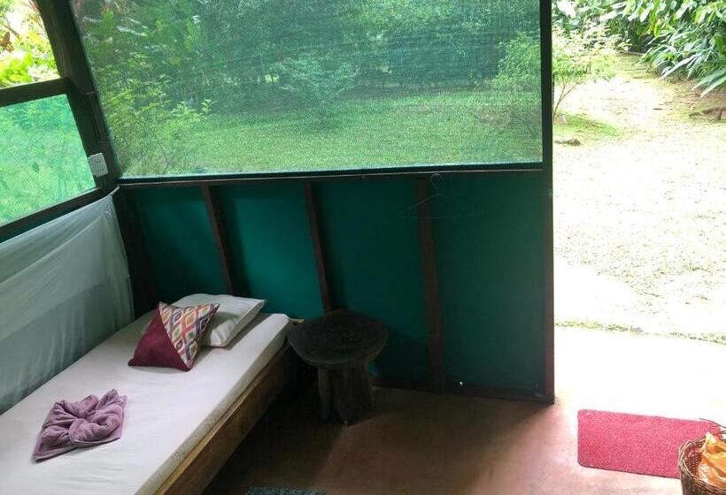 تختخواب در اتاق مشترک, Mohagine