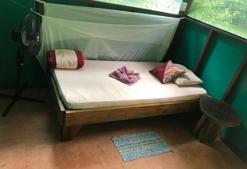 تختخواب در اتاق مشترک, Mohagine