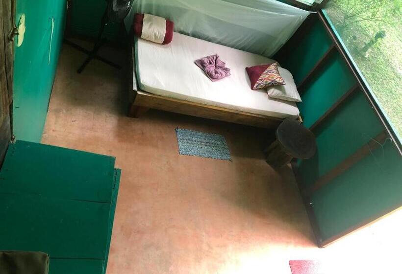 تختخواب در اتاق مشترک, Mohagine