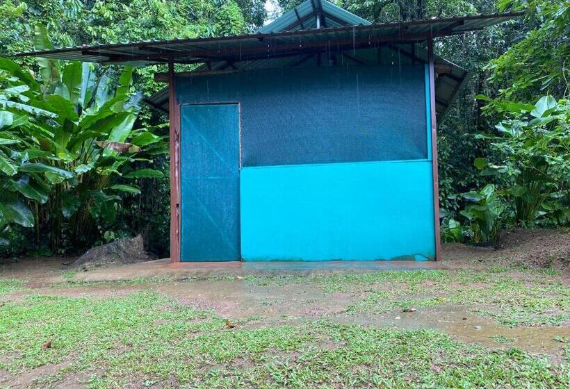 تختخواب در اتاق مشترک, Mohagine