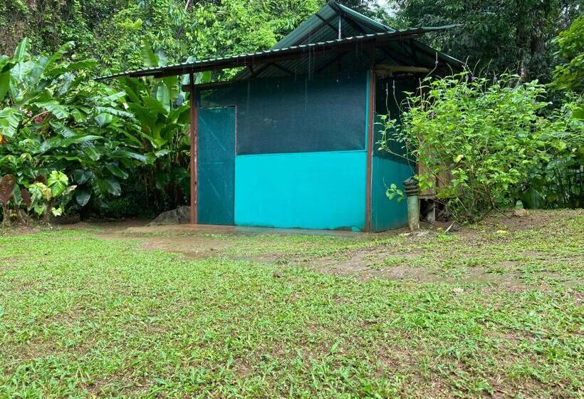 تختخواب در اتاق مشترک, Mohagine