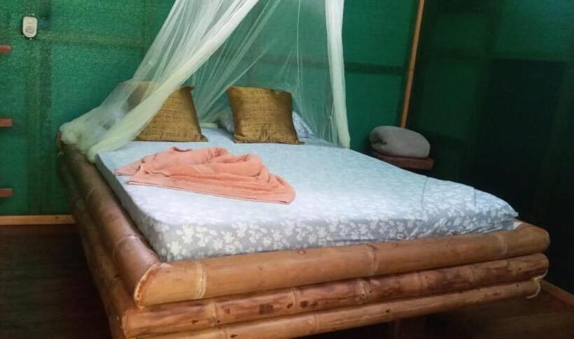 اتاق استاندارد با سرویس بهداشتی مشترک, Mohagine