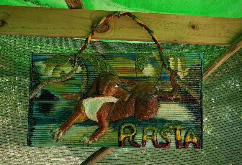 چادر با خدمات رفاهی استاندارد, Mohagine