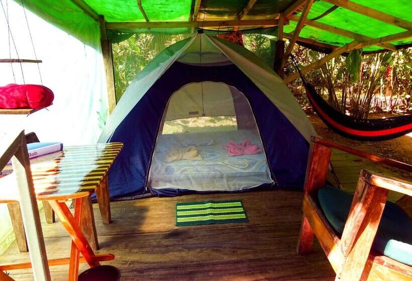 چادر با خدمات رفاهی استاندارد, Mohagine