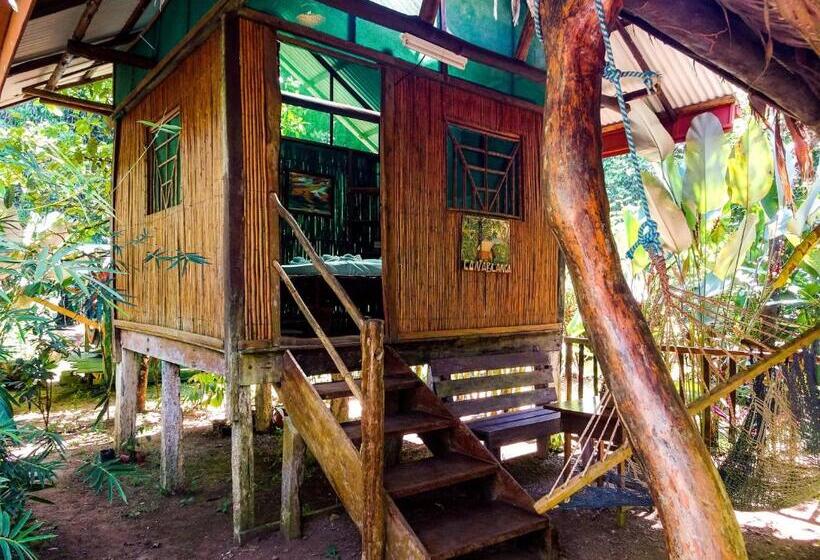 اتاق استاندارد با سرویس بهداشتی مشترک, Mohagine