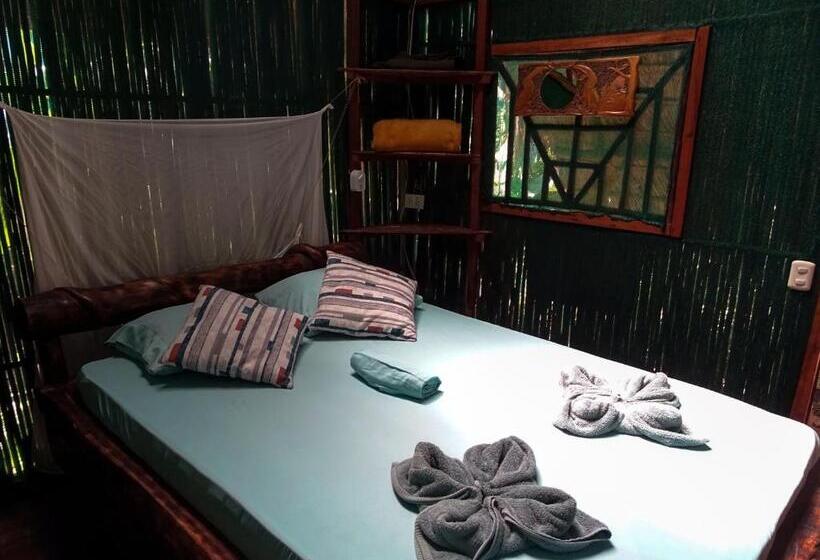 اتاق استاندارد با سرویس بهداشتی مشترک, Mohagine