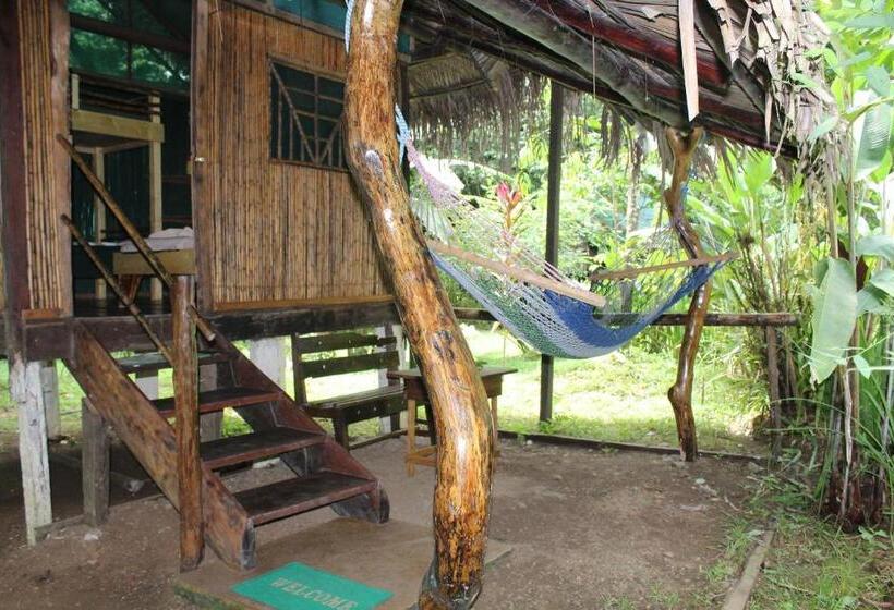 اتاق استاندارد با سرویس بهداشتی مشترک, Mohagine