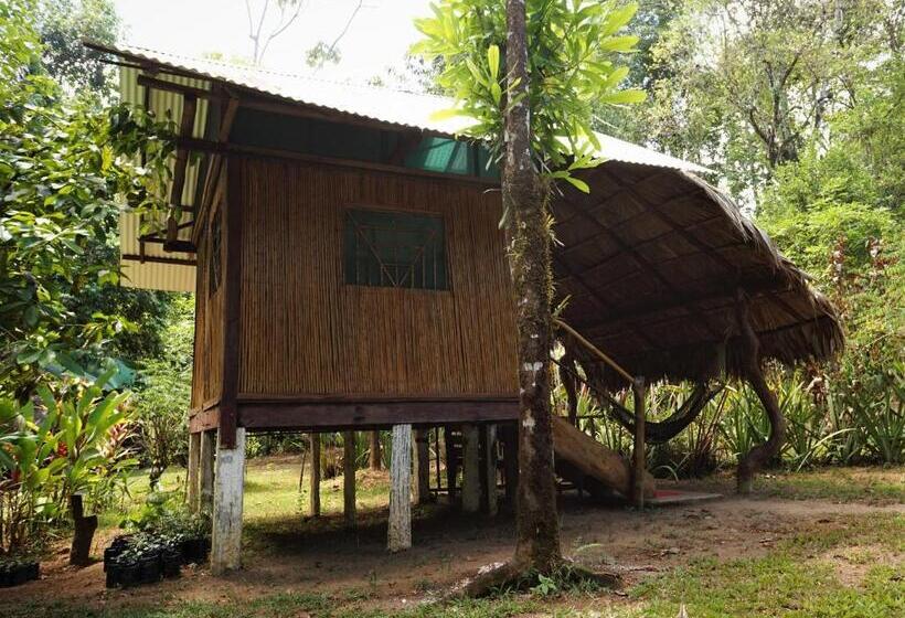 اتاق استاندارد با سرویس بهداشتی مشترک, Mohagine