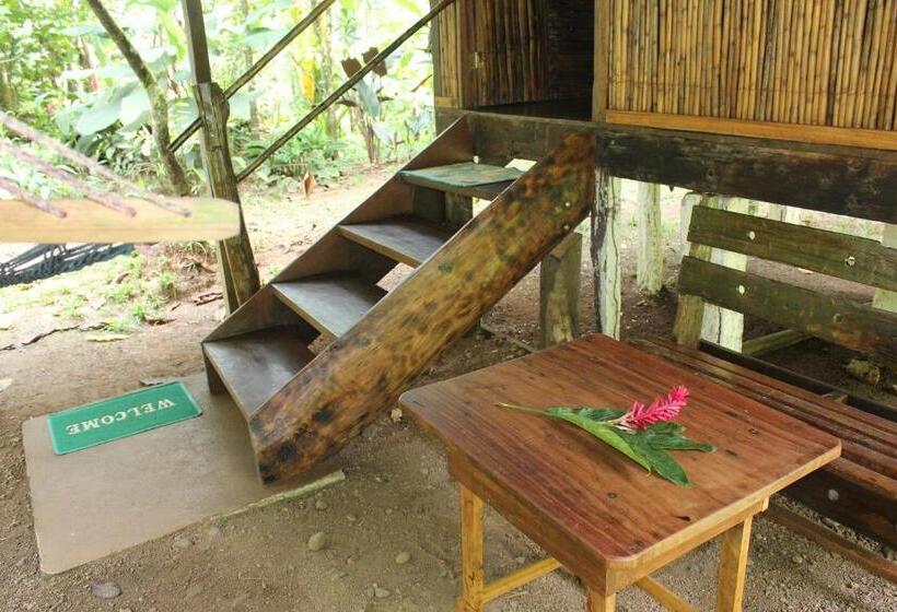 اتاق استاندارد با سرویس بهداشتی مشترک, Mohagine