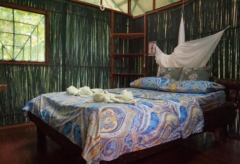 اتاق استاندارد با سرویس بهداشتی مشترک, Mohagine