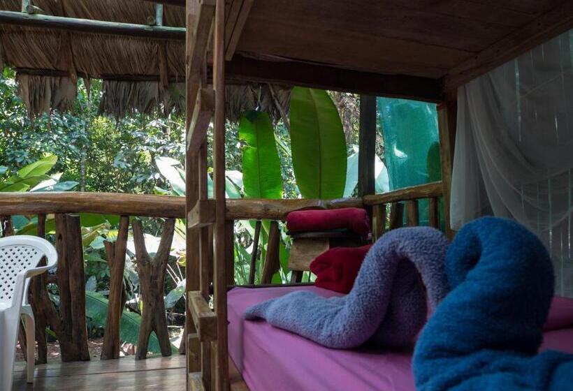 اتاق استاندارد چهار تخته, Mohagine