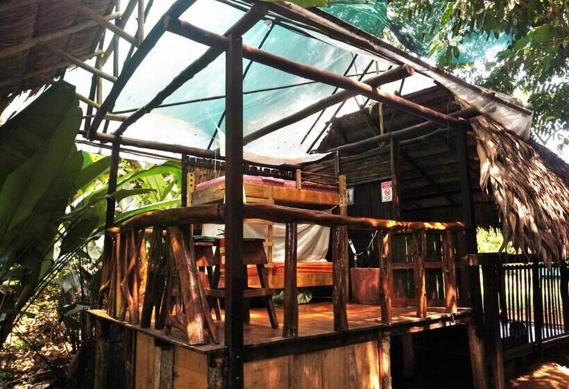 اتاق استاندارد چهار تخته, Mohagine