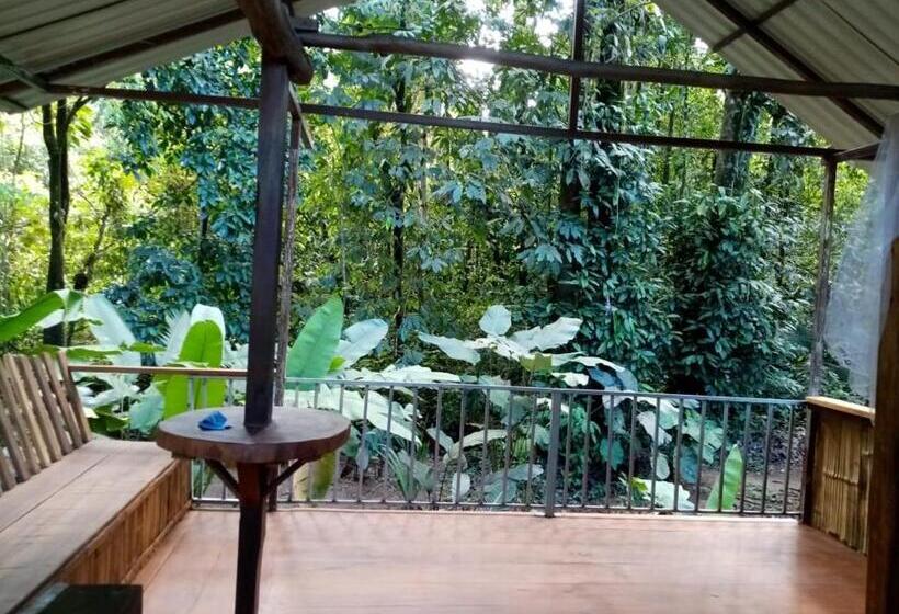 اتاق استاندارد چهار تخته, Mohagine