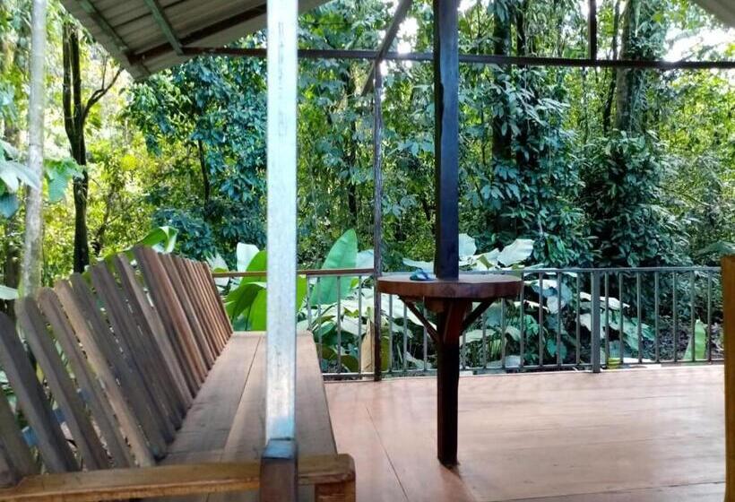 اتاق استاندارد چهار تخته, Mohagine