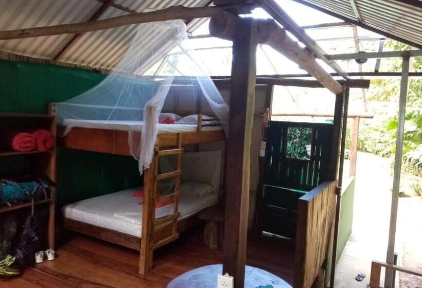 اتاق استاندارد چهار تخته, Mohagine