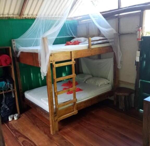 اتاق استاندارد چهار تخته, Mohagine