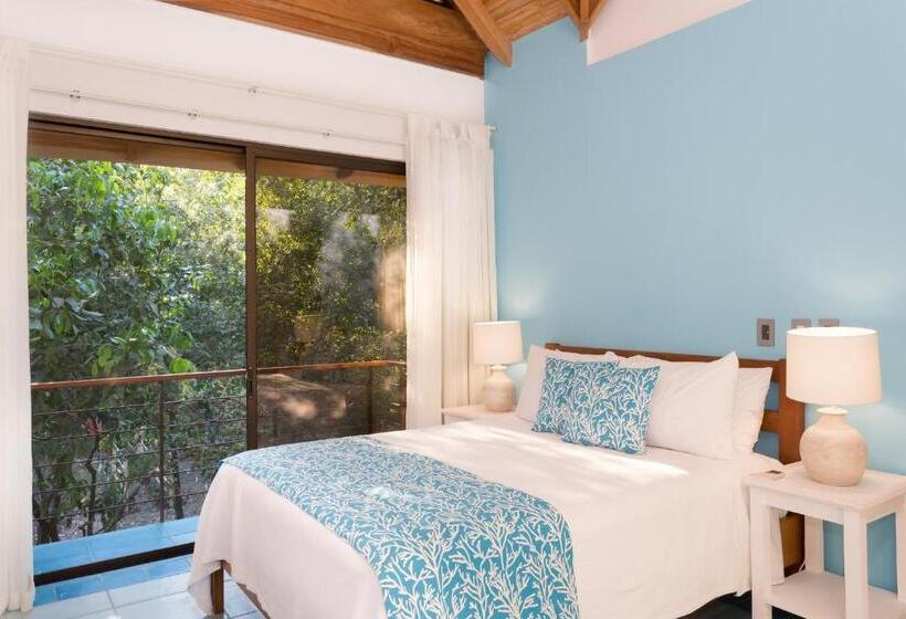 جناح, Olas Verdes