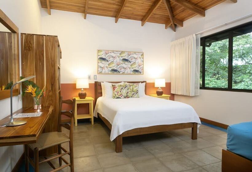 جناح ديلوكس, Olas Verdes