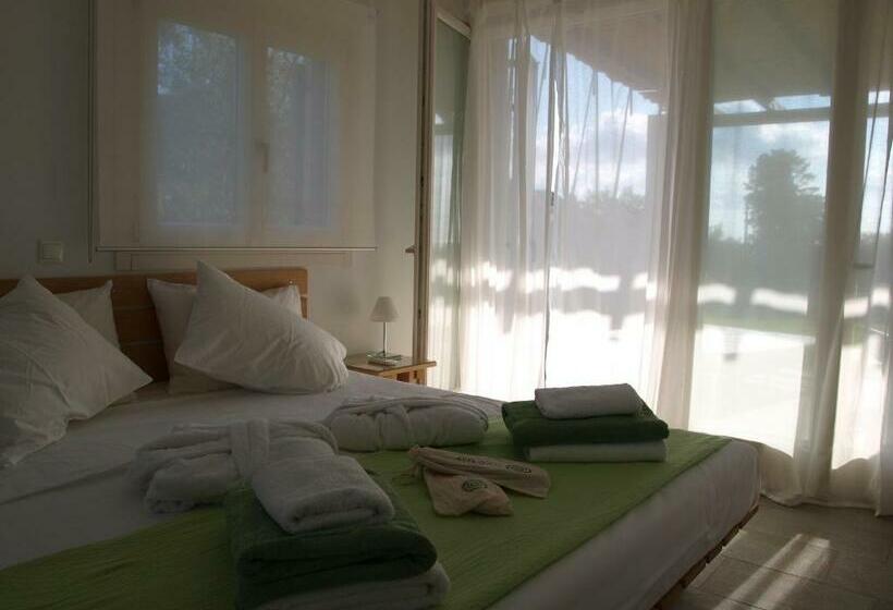 스탠다드 룸 바다 전망, Olivemare