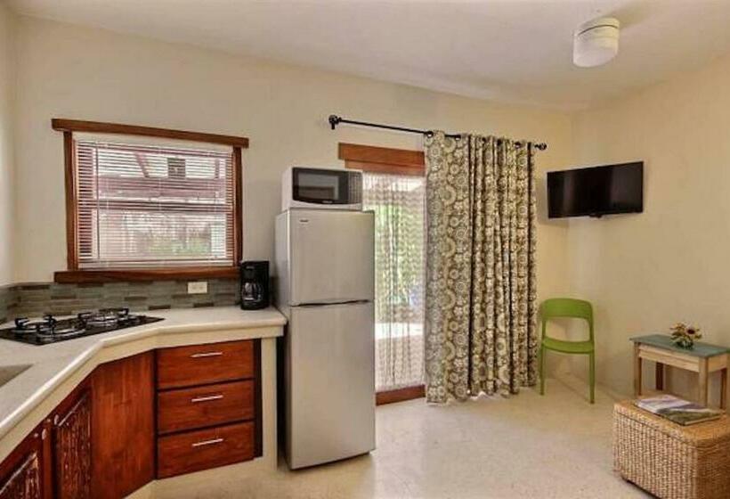 ２ベッドルームアパートメント, Ten North Tamarindo Beach