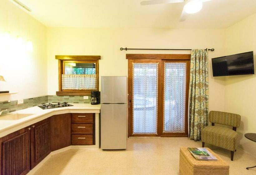 ２ベッドルームアパートメント, Ten North Tamarindo Beach