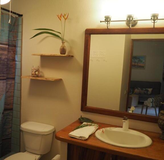 Apartamento 1 Dormitório com Sacada, Ten North Tamarindo Beach