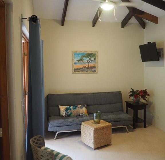 Apartamento 1 Dormitório com Sacada, Ten North Tamarindo Beach
