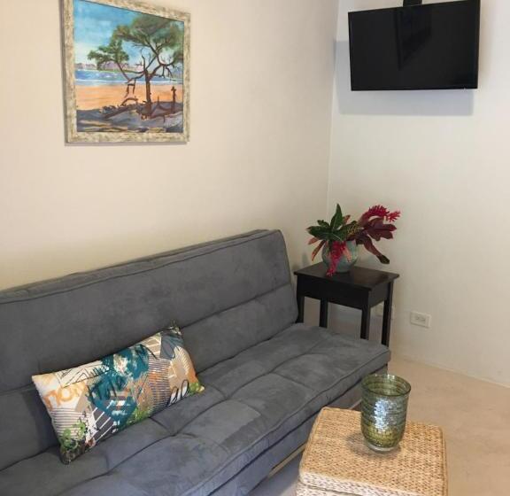 バルコニー付き１ベッドルームアパートメント, Ten North Tamarindo Beach