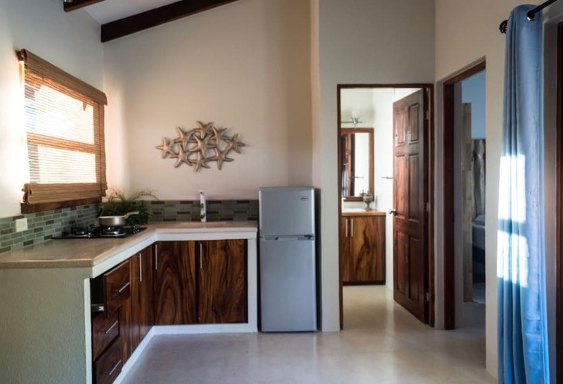 バルコニー付き１ベッドルームアパートメント, Ten North Tamarindo Beach