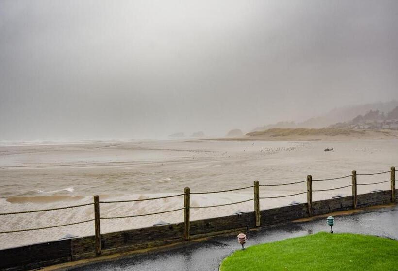 סטודיו סטנדרט, מיטה זוגית, The Waves