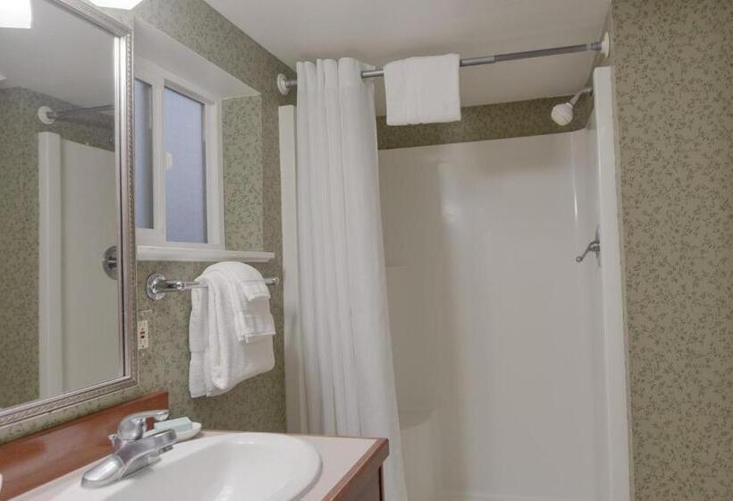 חדר סטנדרט, The Waves