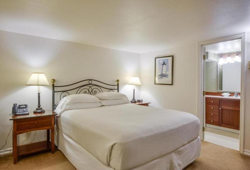 חדר סטנדרט, The Waves