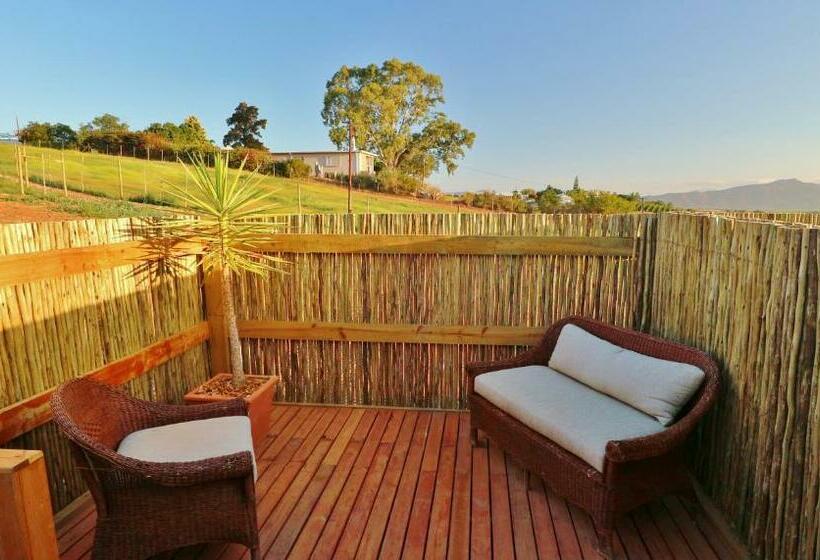 标准间, Thelab Robertson