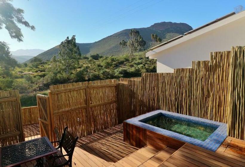 标准间, Thelab Robertson