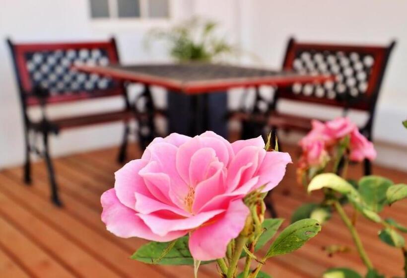 标准间, Thelab Robertson