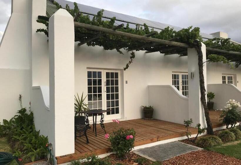 标准间, Thelab Robertson