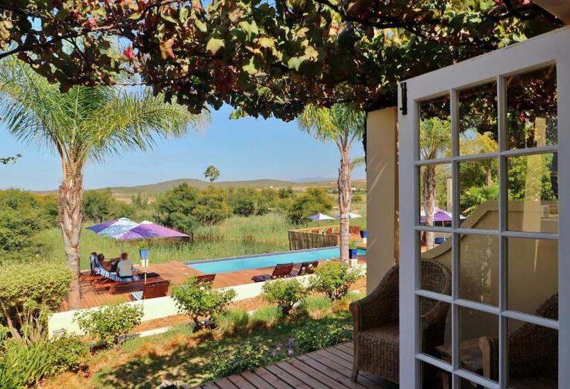 标准间, Thelab Robertson