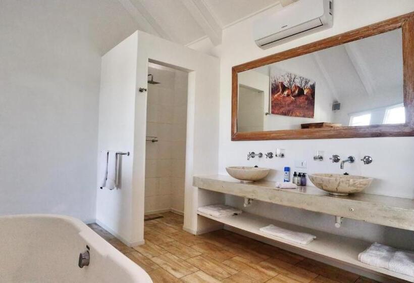 标准间, Thelab Robertson