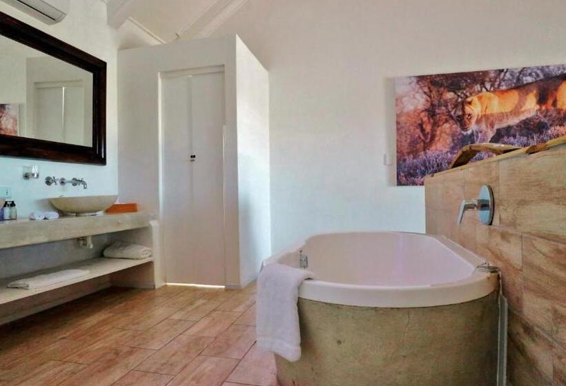 标准间, Thelab Robertson