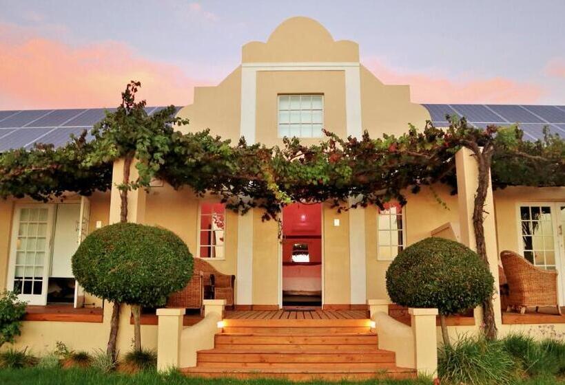 标准间, Thelab Robertson