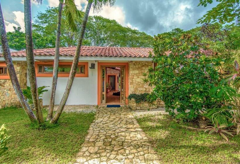 别墅: 1间卧室带游泳池, Villas Kalimba