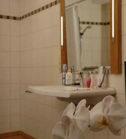 スタンダードシングルルーム, Wolfshotel Am Arendsee