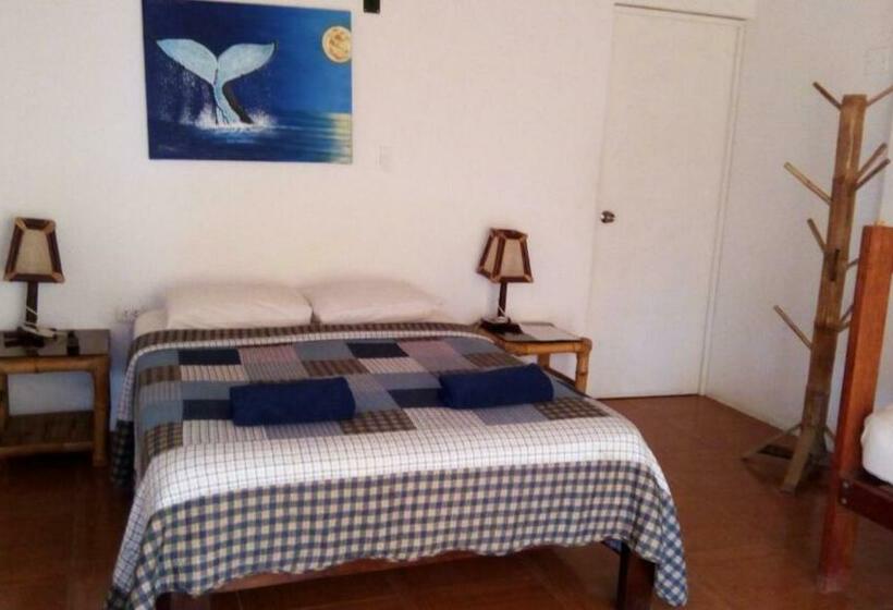 带海景标准四人间, Las Tortuguitas Bungalows