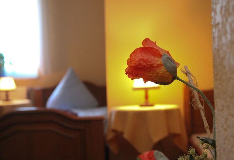 غرفة قياسية فردية, Wolfshotel Am Arendsee