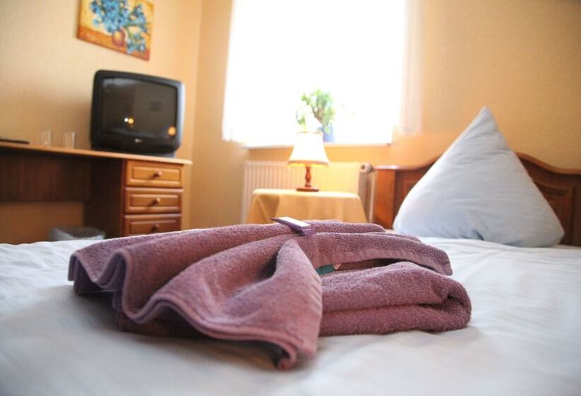 스탠다드 싱글 룸, Wolfshotel Am Arendsee
