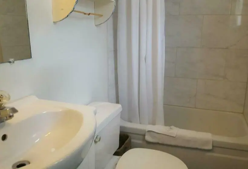 Standard-huone 2 Parivuodetta, All Seasons Motel