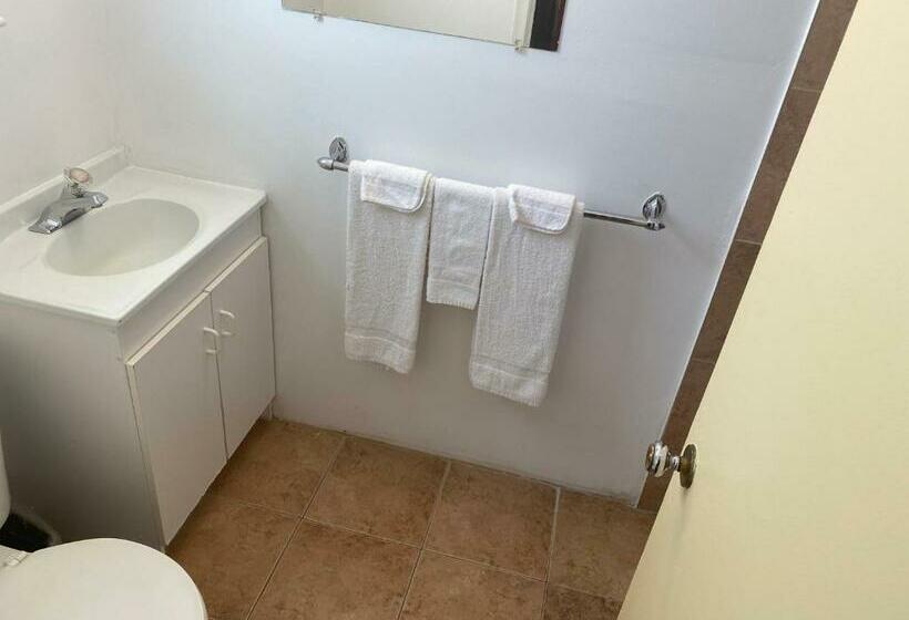 غرفه قياسيه سريرين مزدوجين, All Seasons Motel