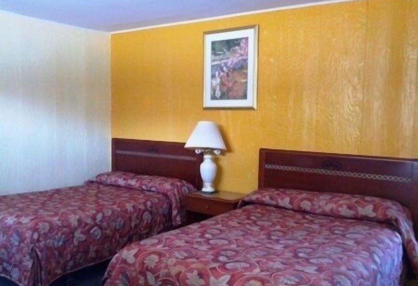 带2个双人床的标准工作室, All Seasons Motel